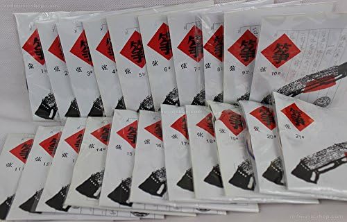Professional Nylon Guzheng Strings, 1 Set, #1 - #21