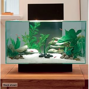 buy fish aquariums