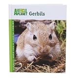 Gerbils Book