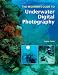 51hGcv7NLDL. SL75  Choose right camera lenses for exquisite photography