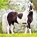 Happiness is a Horse 2017 Wall Calendar