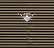 Cocoon Compilation J