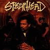 Bild des Albums von Michael Franti & Spearhead