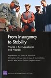 From Insurgency to Stability: Key Capabilities and Practices (Volume 1)