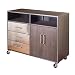 Powell Monster Mobile Storage Unit