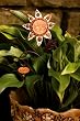 Set of 3 Angel, Butterfly, and Flower Seeds of Faith: Thank You God Plant Pics