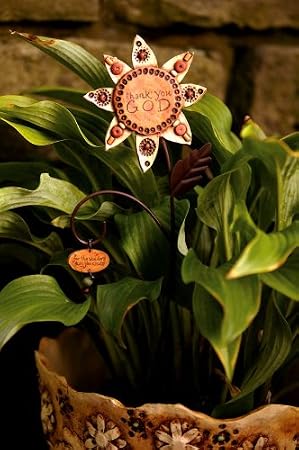 Set of 3 Angel, Butterfly, and Flower Seeds of Faith: Thank You God Plant Pics