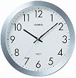 CASIO (カシオ) 掛け時計 アナログ IQ-76-8JF