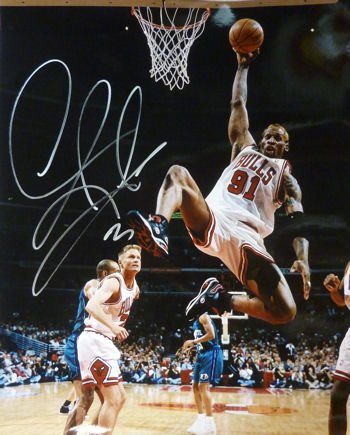 Dennis Rodman Autographed Chicago Bulls 16x20 Photo