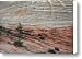 Checkerboard Mesa in Zion National Park Canvas Print / Canvas Art - Artist Pierre Leclerc
