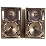 Truth B2031P Studio Monitor