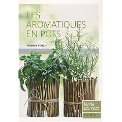 Les aromatiques en pots
