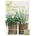 Les aromatiques en pots