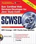 Sun Certified Developer for Java Web Services Study Guide (Exam 310-220) (Certification Press)