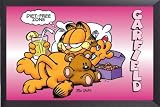 Poster framed: Garfield - Diet Free Zone (36 x 24 inches)