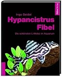 Buch