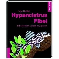 Hypancistrus-Fibel: Die sch�nsten L-Welse im Aquarium