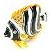Black Tropical Fish Gift Jewelry Box Swarovski Crystals