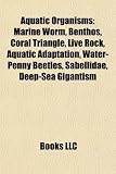 Aquatic Organisms: Marine Worm, Benthos, Coral Triangle, Live Rock, Aquatic Adaptation, Water-Penny Beetles, Sabellidae, Deep-Sea Giganti