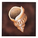 Tibia Wall Art
