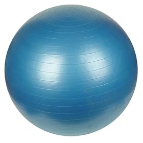 Sunny Health & Fitness Anti-Burst Gym Ball