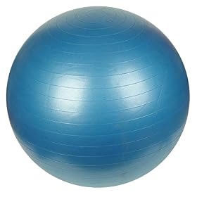Sunny Health & Fitness Anti-Burst Gym Ball
