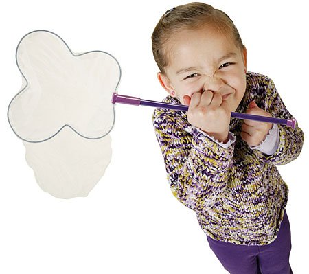 Childrens Toyshop  Sporting Goods : Butterfly Net