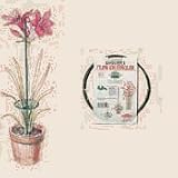 Bosmere E210 - 3 Inch Flower Circle - Green
