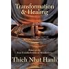 Transformation and Healing: Sutra on the Four Establishments Of Mindfulness