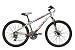 Reebok Radium 21-speed Alloy Cycle (14/26")