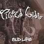Lance Bass Fan Club
