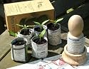 Wooden Eco Paper Seedling Potter