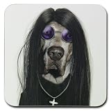 Takkoda Pets Rock 'Metal' Dog Coaster