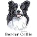 Border Collie Cordial - Shot Glass