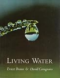 Living Water