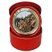 Limited Edition Violano Jewelry Case Travel Alarm Clock Fishing Bears