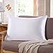 Tim & Tina Natural Silk Pillowcase Good for Hair and Skin,19momme,100% Mulberry Silk Satin Pillow Cases Queen Size with Hidden Zipper,Ivory
