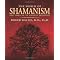 Shamanic Sound Therapy