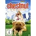 Chestnut - Der Held vom Central Park