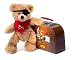 11 Pirate  Fynn Teddy Bear in Pirate Suitcase