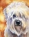 "Soft Coated Wheaton Terrier" Dog Art Print Signed by Artist DJ Rogers