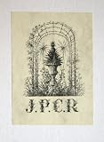 The Garden in Victorian Literature