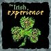 The Irish Experience