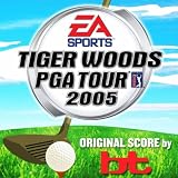 Tiger Woods PGA Tour 2005