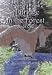 A Bridge in the Forest (Dreamer's Forest, #1)