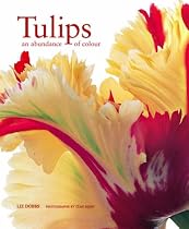 Tulips: An Abundance of Colour