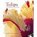 Tulips: An Abundance of Colour