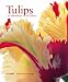 Tulips: An Abundance of Colour
