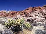 Red Rock Canyon National Conservation Area, Las Vegas, Nevada, USA Landscape Photographic Poster Print by Michael DeFreitas, 30x40 Red Rock Canyon National Conservation Area, Las Vegas, Nevada, USA Landscape Photographic Poster Print by Michael DeFreitas, 30x40