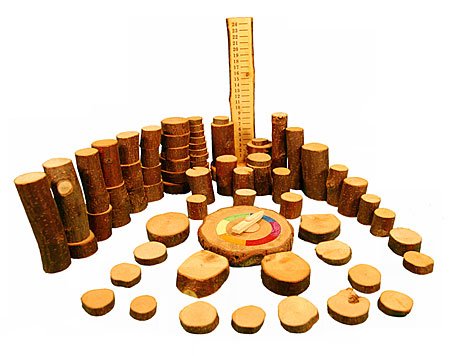Childrens Toyshop  Toys : Tree Blocks Math Kit - 67 pieces